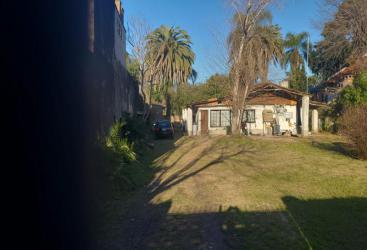 Previsualizar